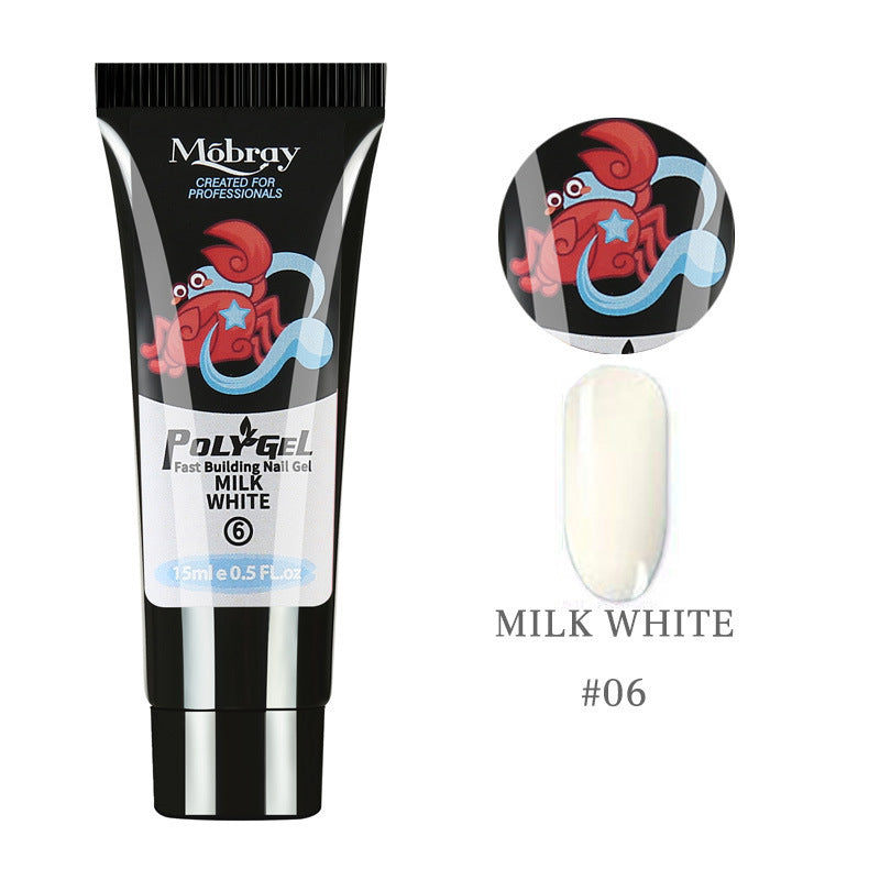 Polychromatic Nail Polish - ShreeBliss