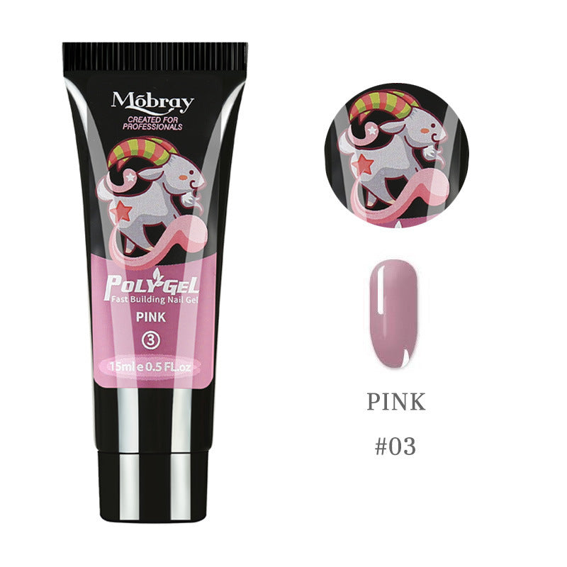 Polychromatic Nail Polish - ShreeBliss