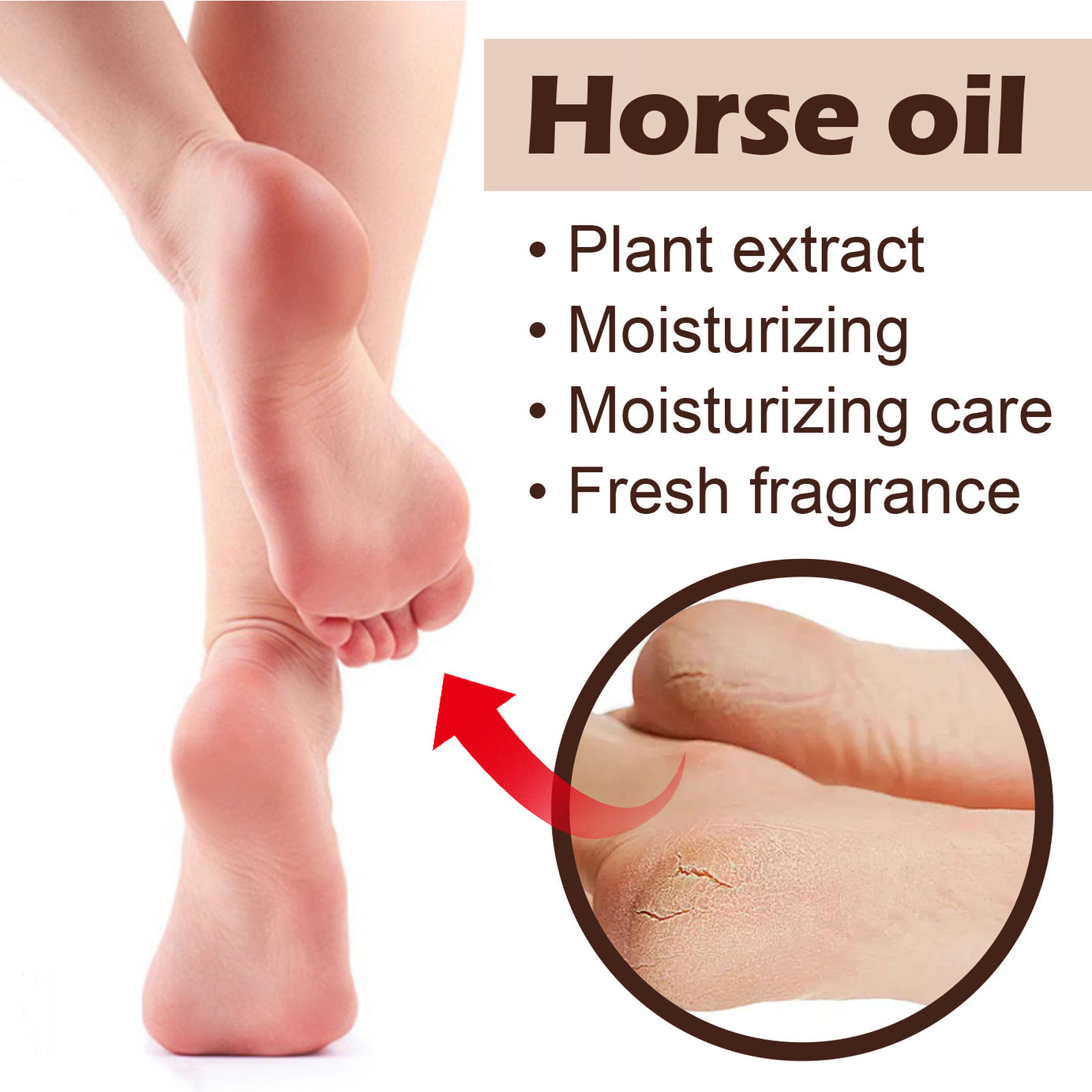 Horse Oil Foot Cream - ShreeBliss