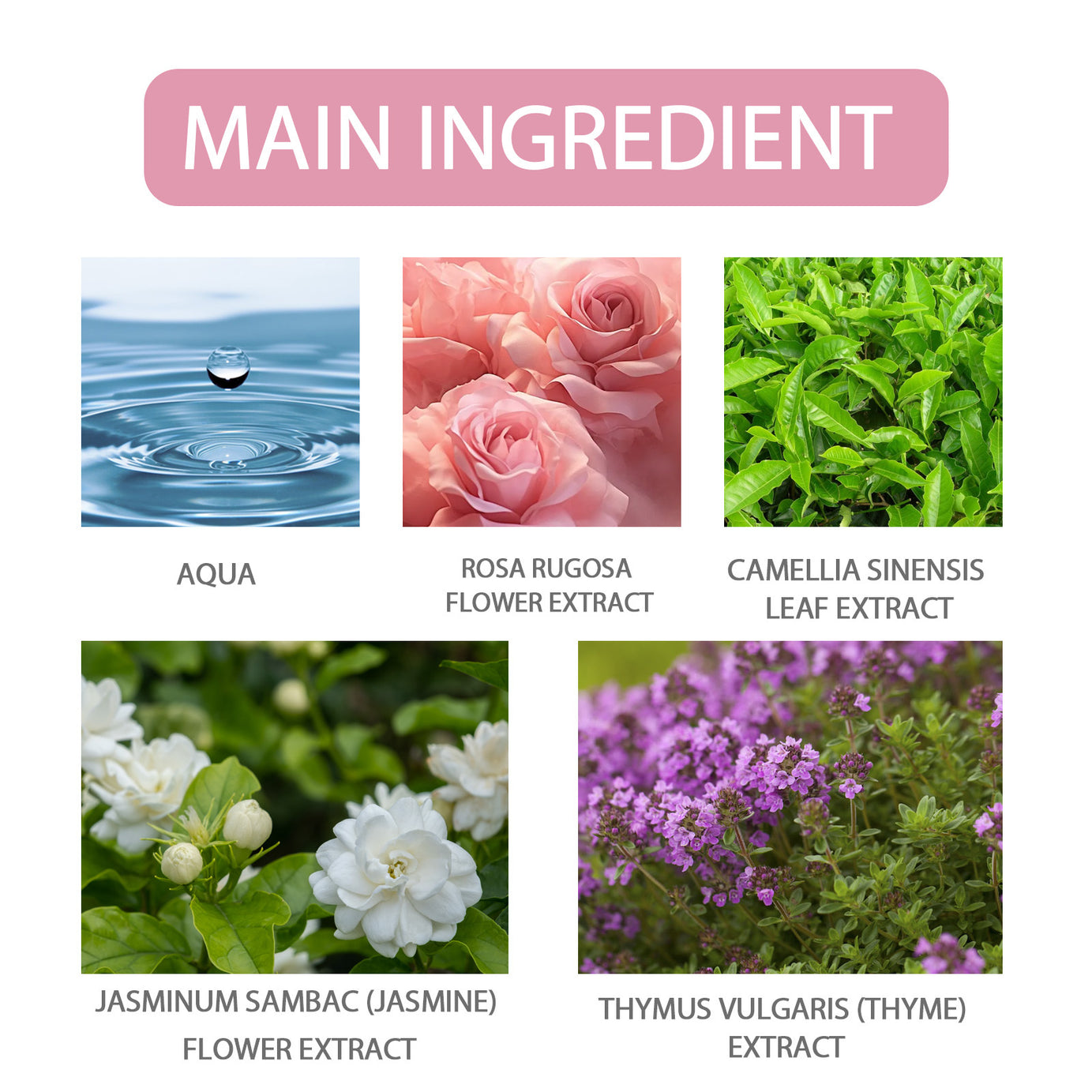 Rose Perfume - ShreeBliss