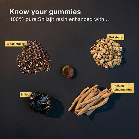Himalayan Shilajit Gummies - ShreeBliss