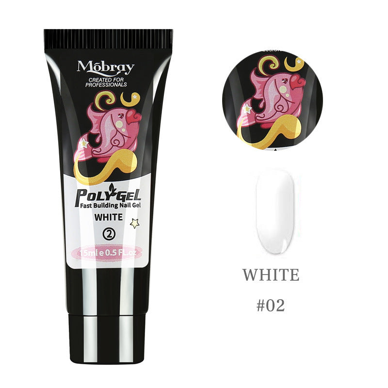 Polychromatic Nail Polish - ShreeBliss