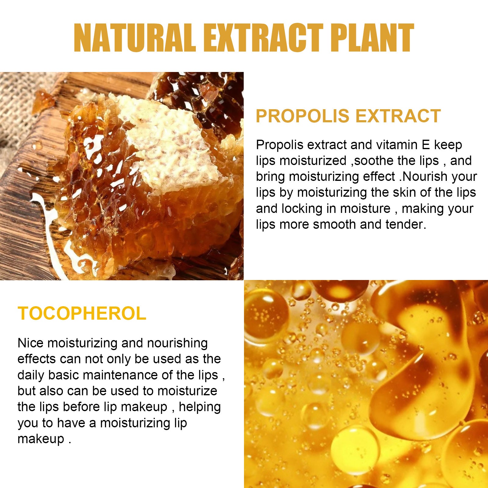 Honey Lip Mask - ShreeBliss