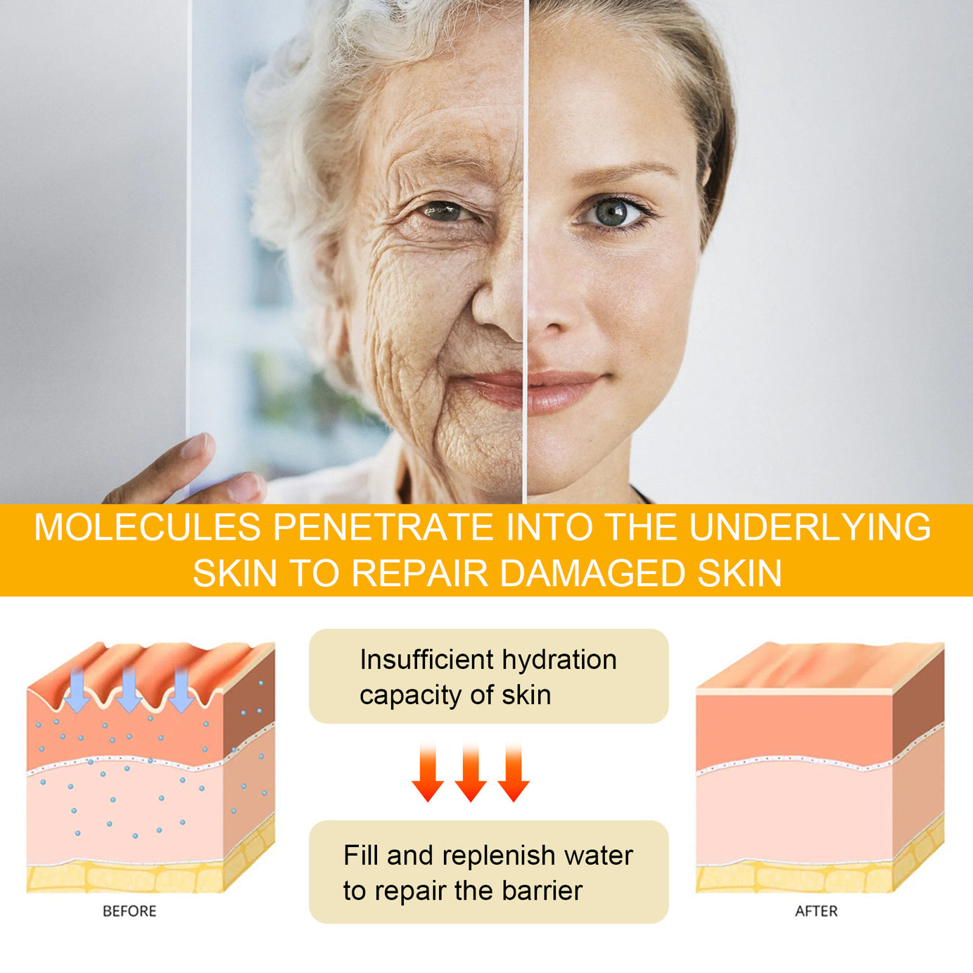 Ginseng Anti-Wrinkle Serum - ShreeBliss