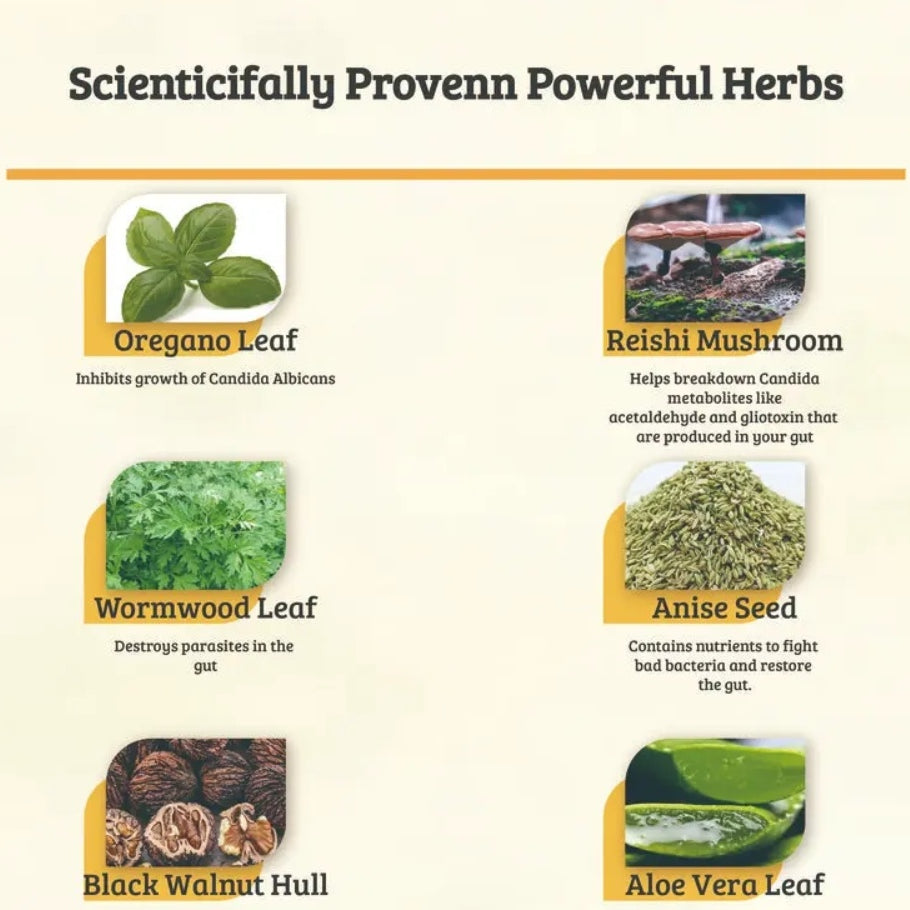 Candida Cleanse - ShreeBliss