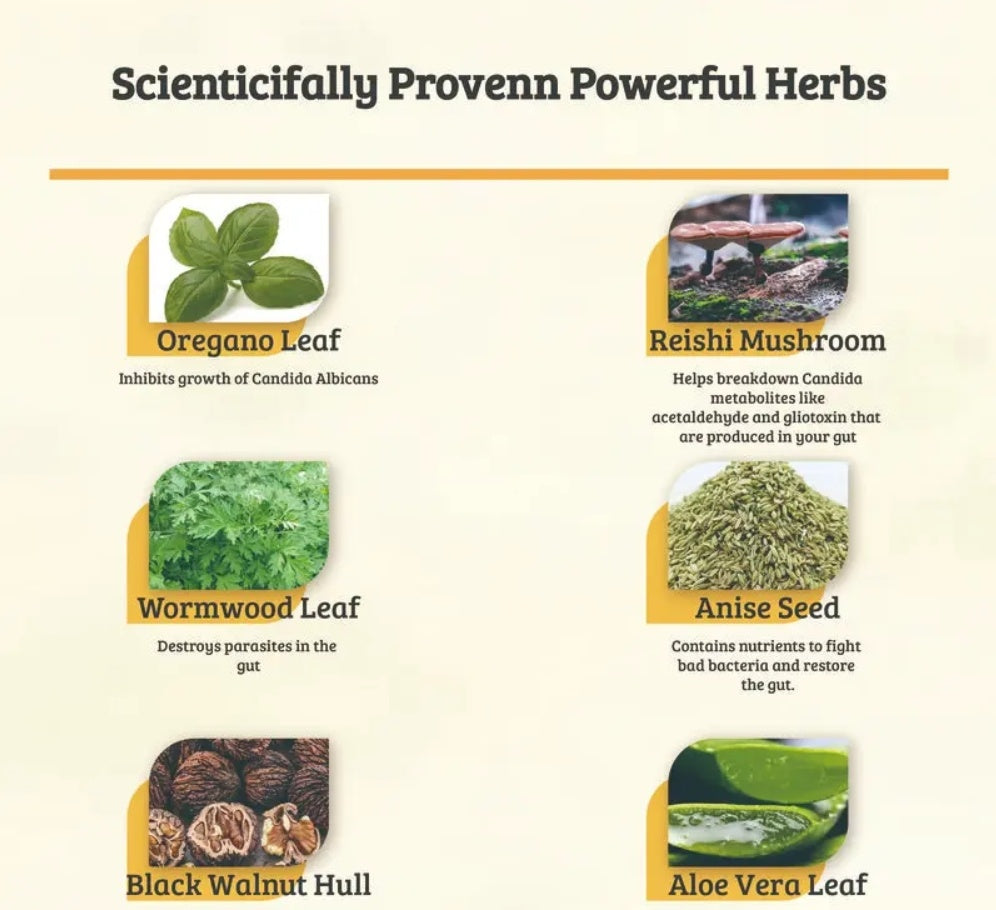 Candida Cleanse - ShreeBliss