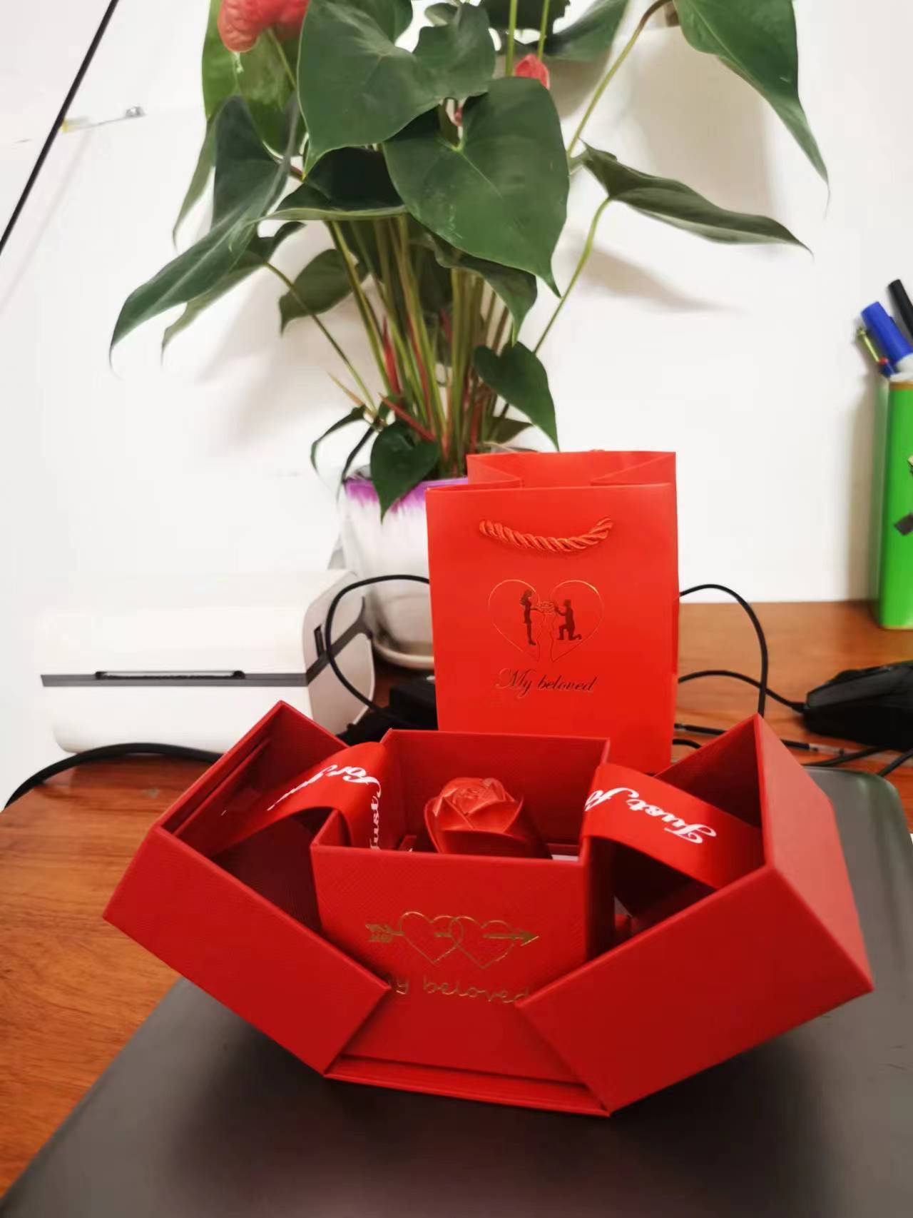 100 Languages "I Love You" Projection Necklace – ShreeBliss