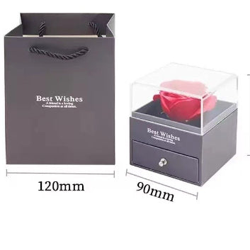 100 Languages "I Love You" Projection Necklace – ShreeBliss