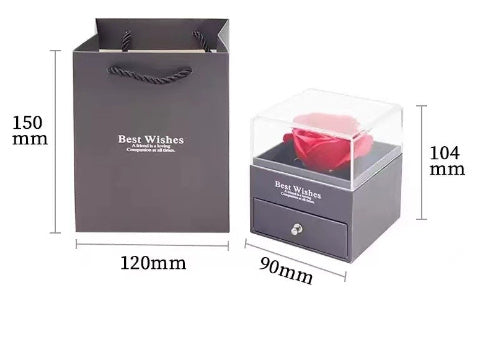 100 Languages "I Love You" Projection Necklace – ShreeBliss