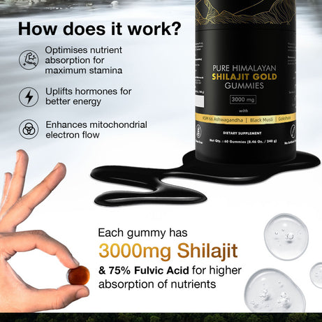 Himalayan Shilajit Gummies - ShreeBliss