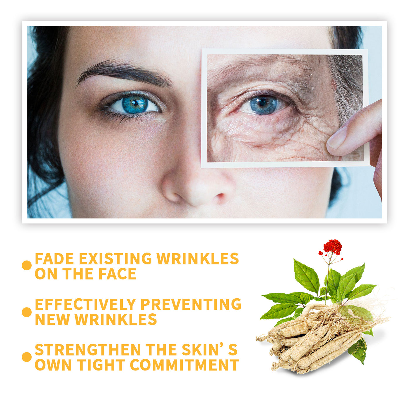 Ginseng Anti-Wrinkle Serum - ShreeBliss